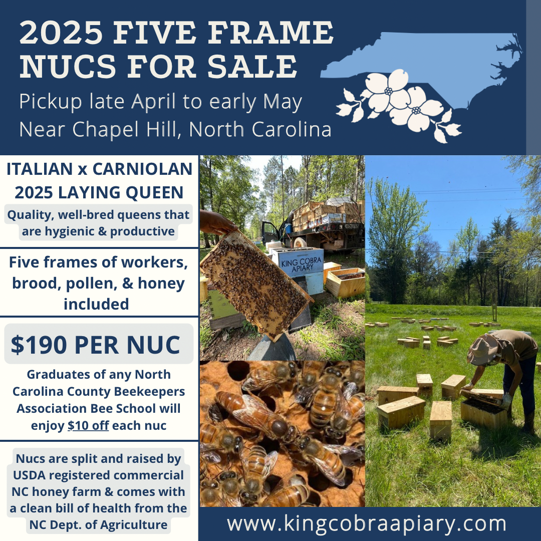North Carolina Honey Bee Nucs for sale with Italian and Carniolan queens, five frames included, near Chapel Hill.