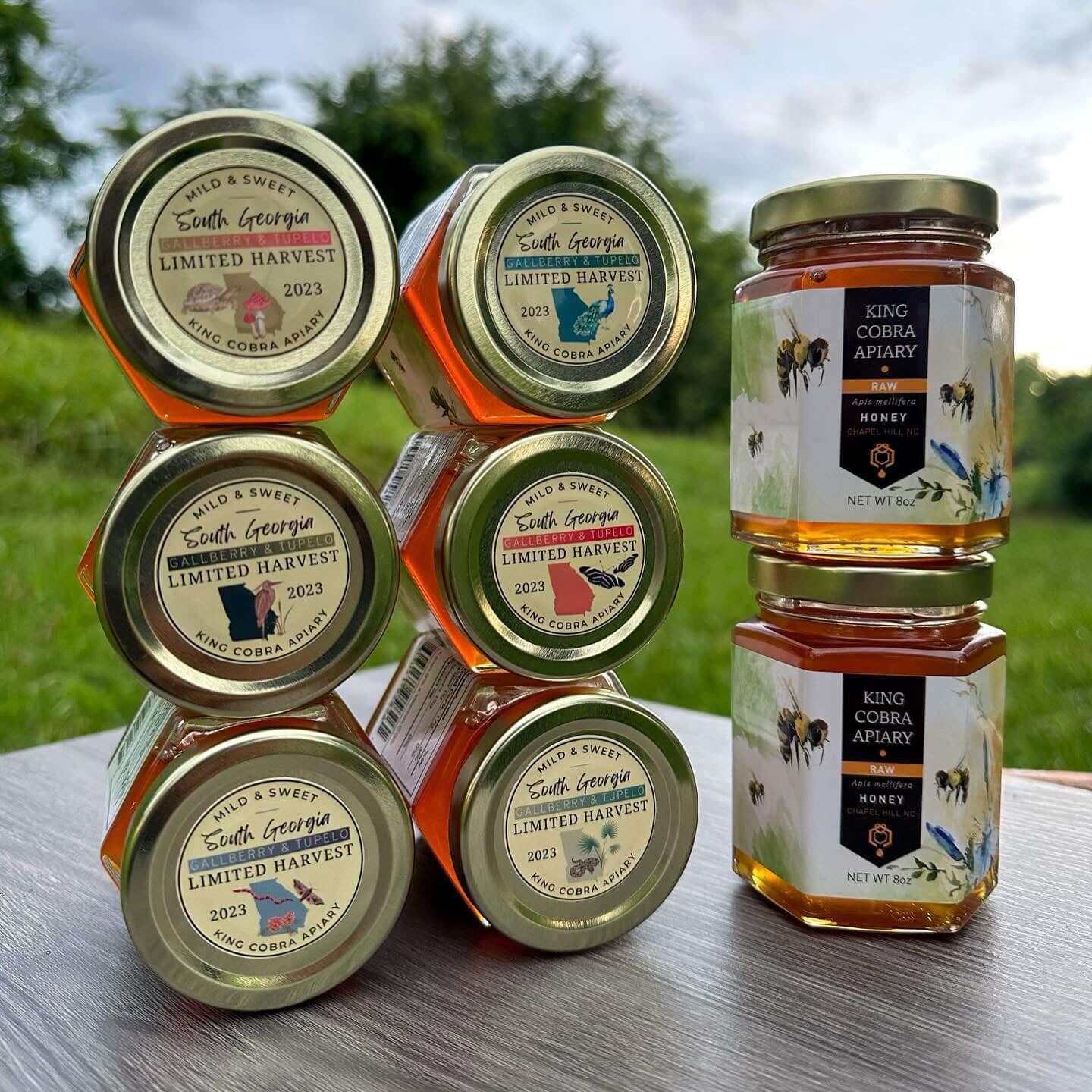 Raw Gallberry and Tupelo Honey - Produced in Georgia