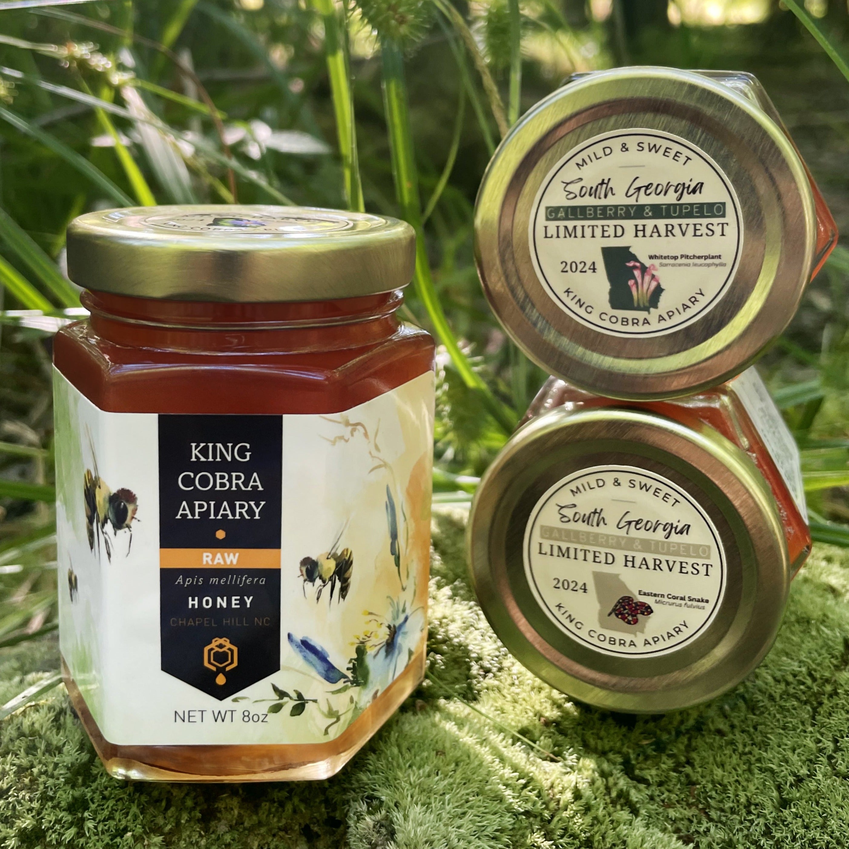 Raw Honey produced in Georgia. Gallberry & Tupelo Honey from southern Georgia.