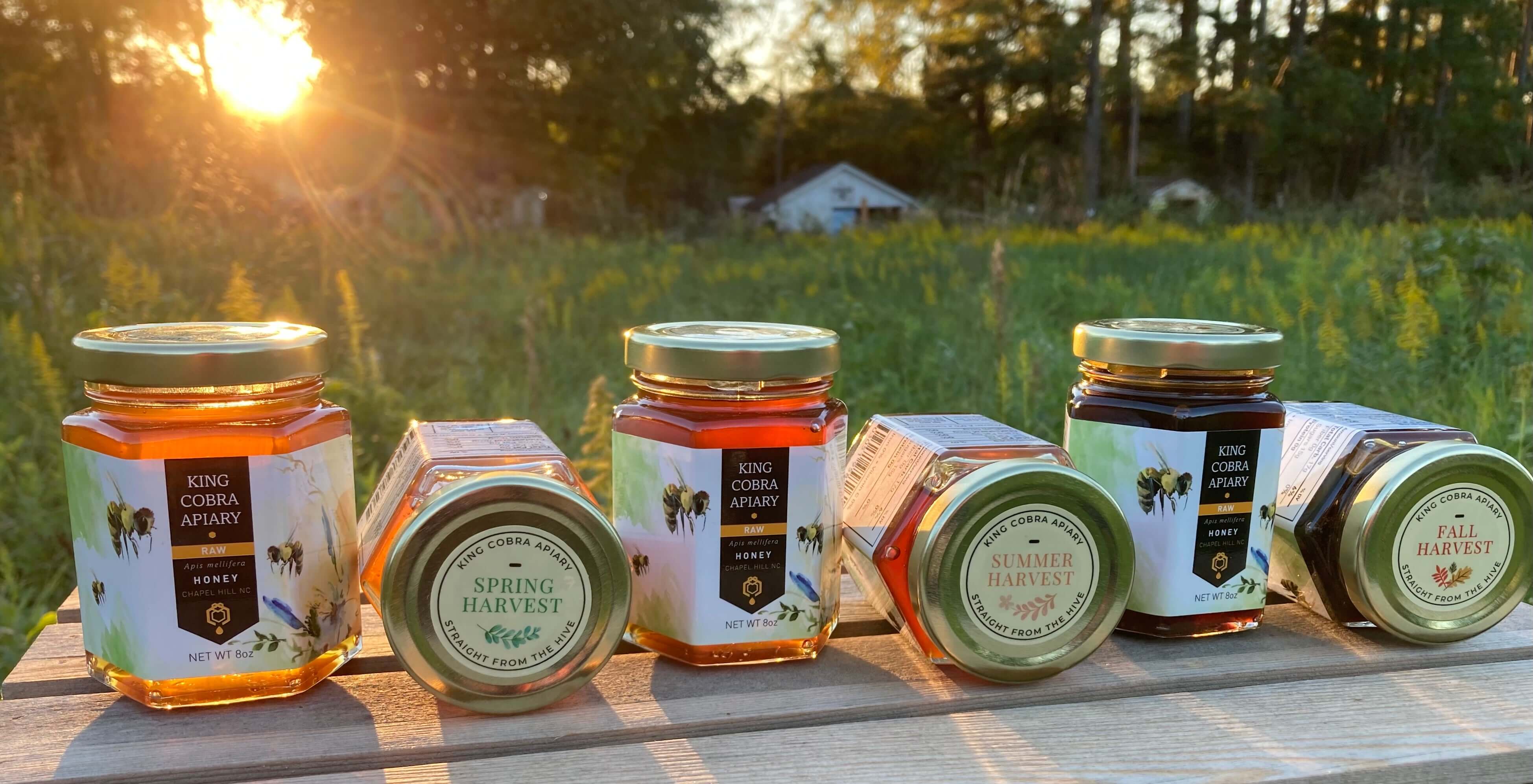 North Carolina Honey - NC Honey - Local Honey - Honey Near Me - NC Bee Farm - Beekeeper Near Me - Chapel Hill Honey