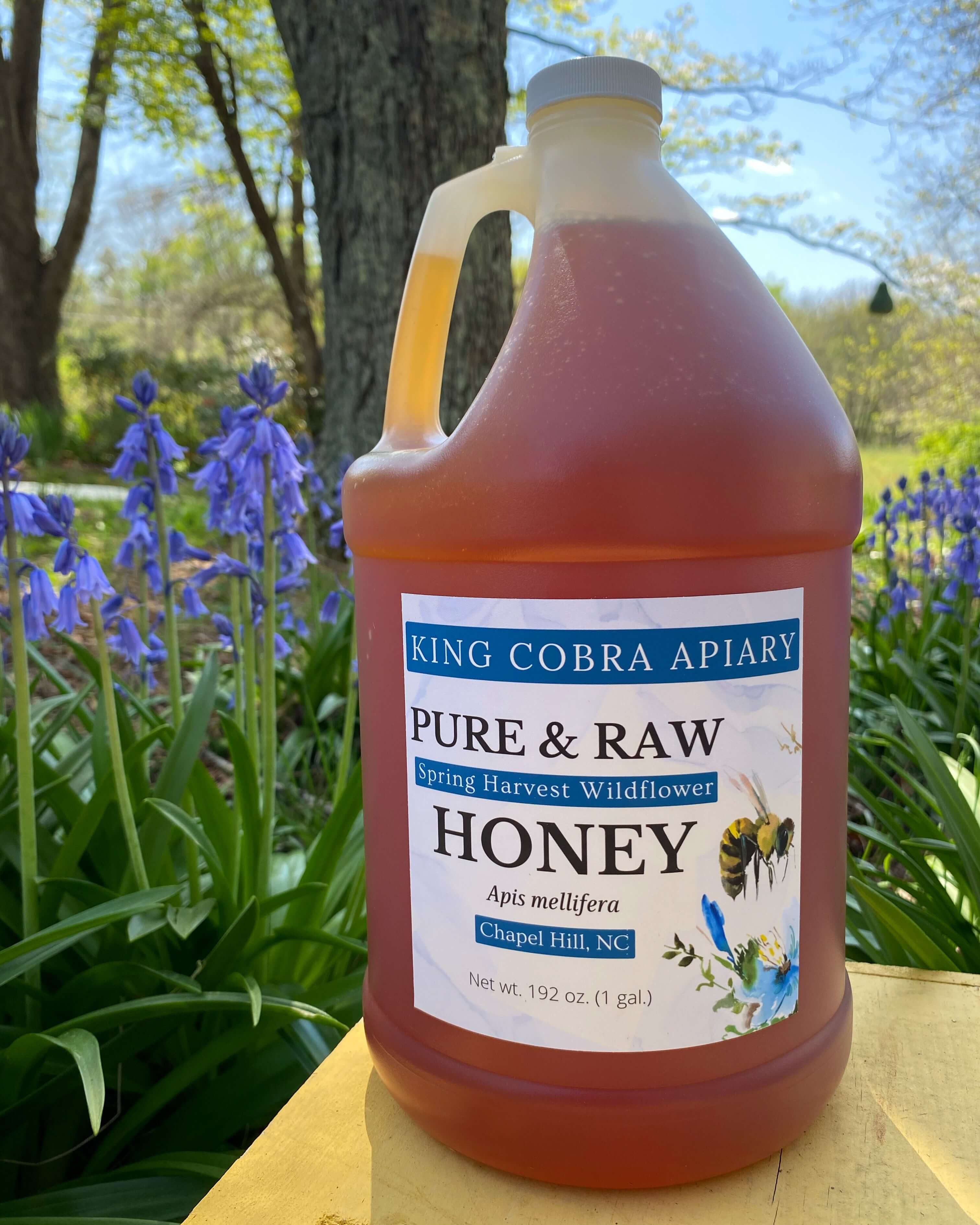 North Carolina Honey - NC Honey - Local Honey - Honey Near Me - 1 Gallon NC Honey - NC Bee Farm - Beekeeper Near Me - Chapel Hill Honey