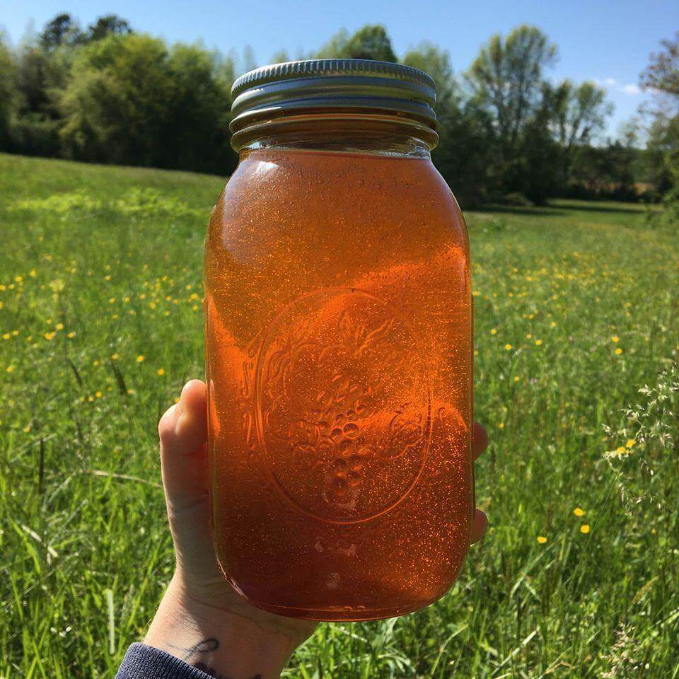 Raw Wildflower Honey - Spring Harvest - 46 oz - NC Honey - King Cobra Apiary