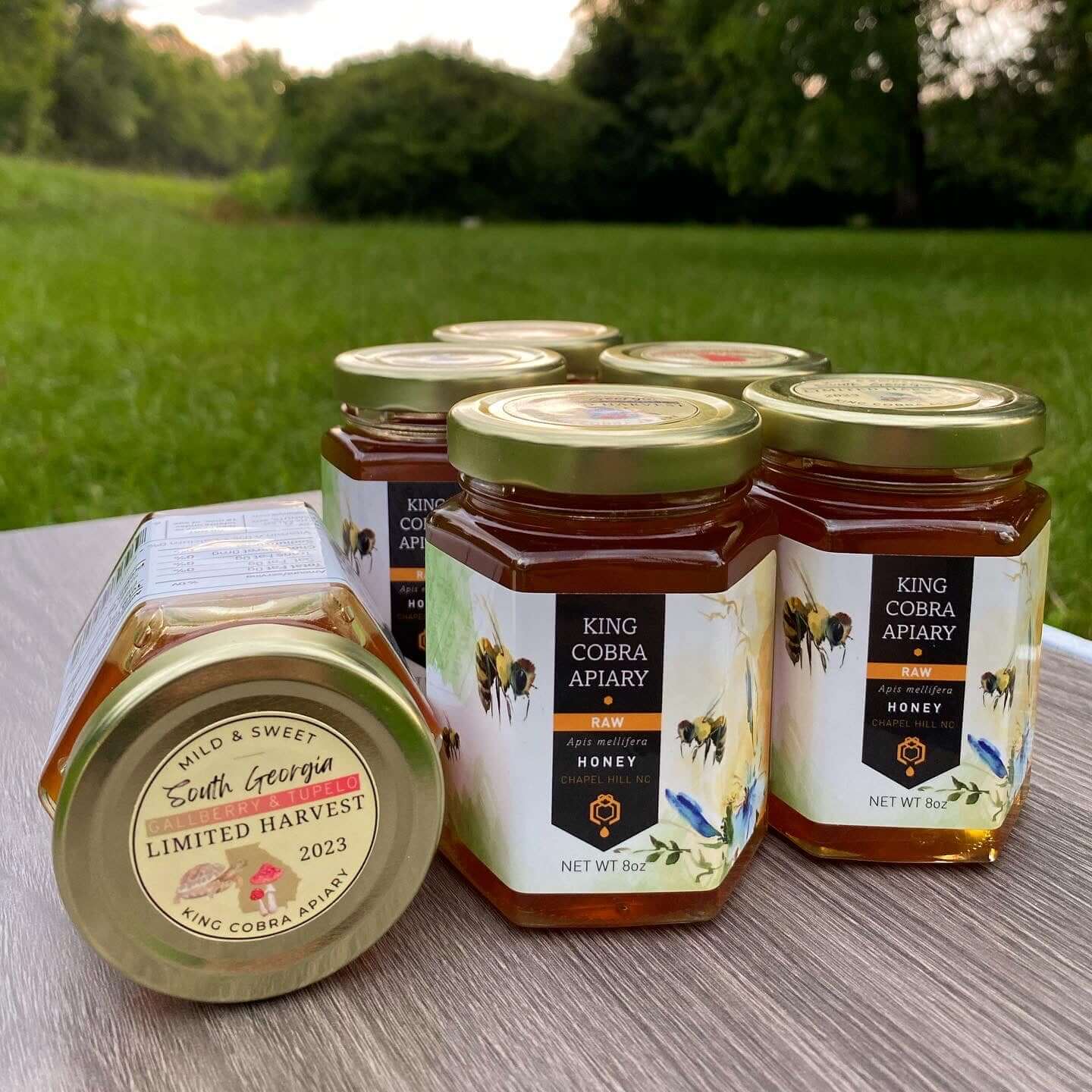 Raw Honey - Gallberry & Tupelo Harvest - 8 oz - Georgia Honey