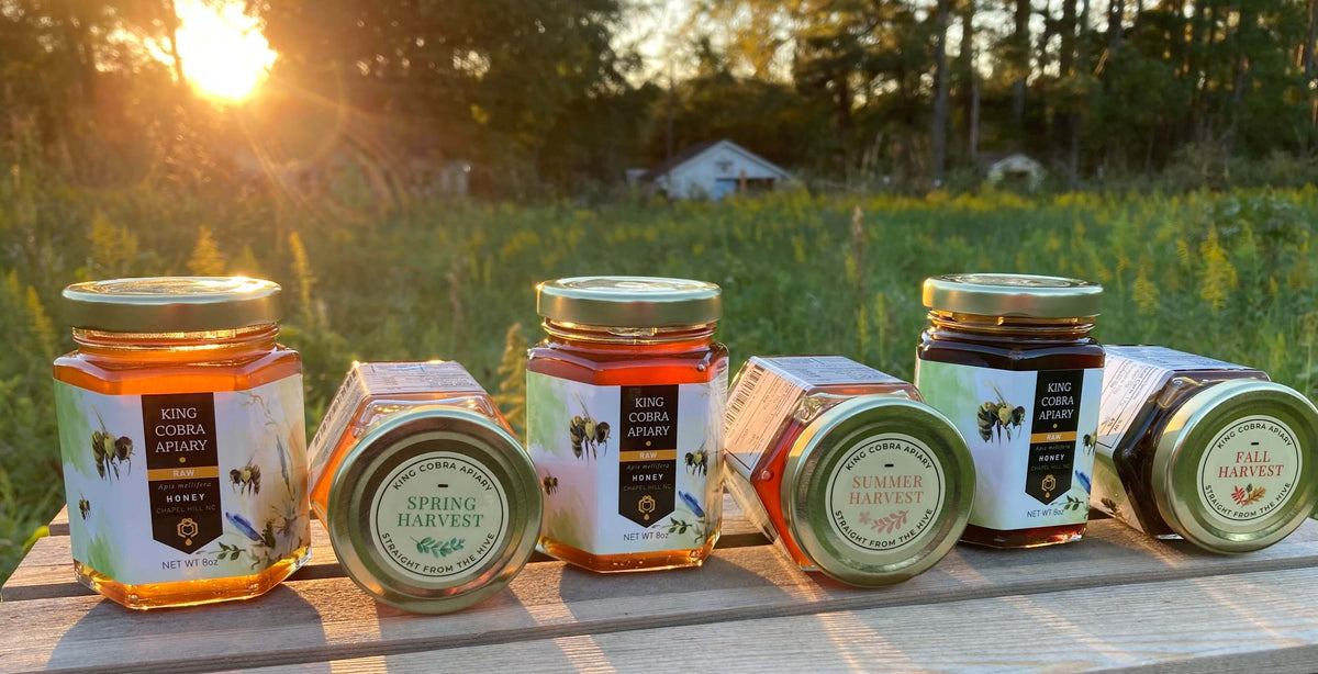 Carolina Sampler Seasonal NC Honey Sampler Box Set - Taste the Unique Flavors